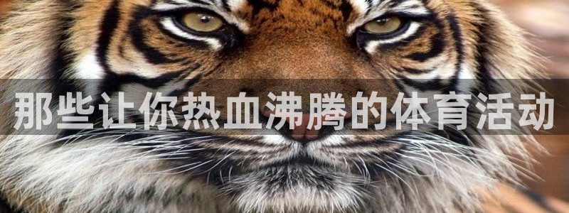 米兰体育官方正版app集团E.ON:那些让你热血沸腾的体育活